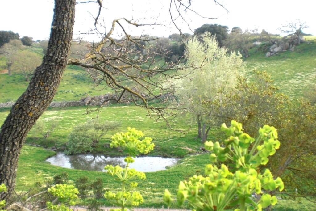 Agriturismo Pentuma Chiaramonti Exterior photo